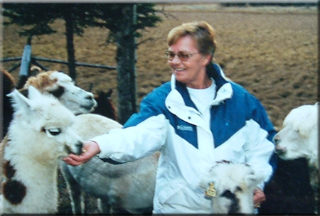 Alpaca Story Ranch, 100 Mile House, BC