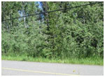 LOT 9 KALLUM DR, - 108 Mile Ranch - British Columbia - V0K 2Z0 - Ray Carlson - Real Estate - 100 Mile House & Area - Royal LePage - 100 Mile Realty - 100 Mile House - British Columbia